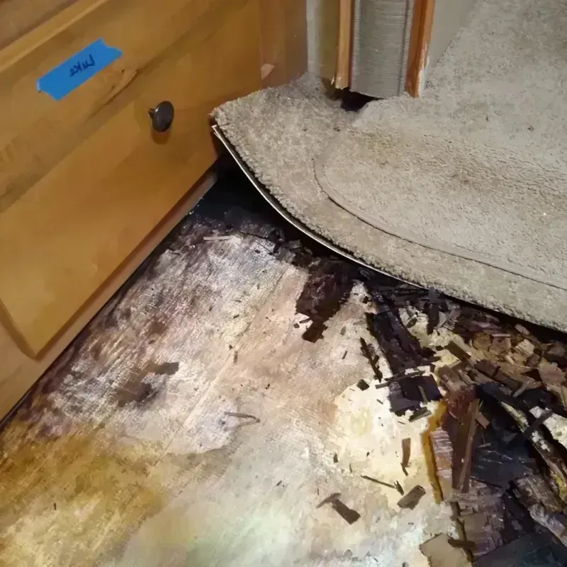 Wood Floor Water Damage in Taylor, MI